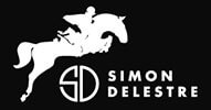 Logo Simon Delestre